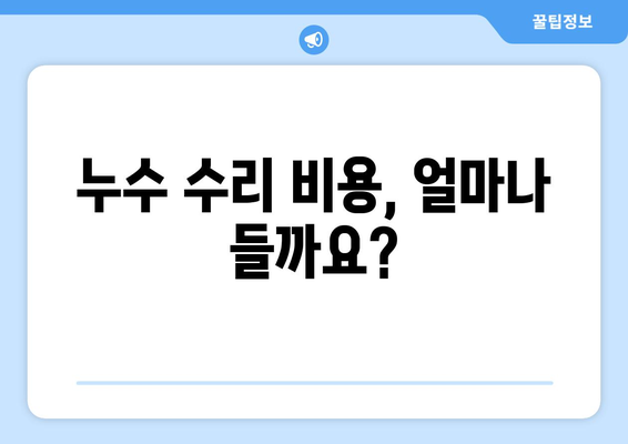 집안 누수, 당황하지 마세요! 발생 시 대처 방법과 해결책 | 누수 원인, 누수 탐지, 보험, 수리 비용