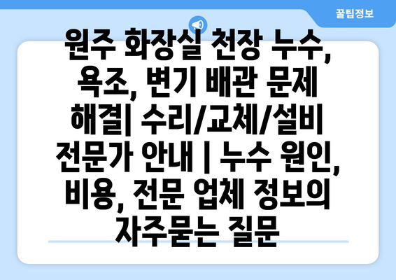 원주 화장실 천장 누수, 욕조, 변기 배관 문제 해결| 수리/교체/설비 전문가 안내 | 누수 원인, 비용, 전문 업체 정보