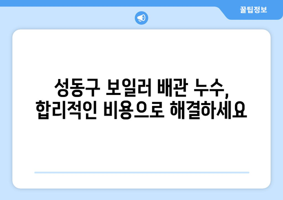 성동구 보일러 배관 누수, 빠르고 정확하게 해결하세요! | 누수 확인, 차단, 전문 업체 추천