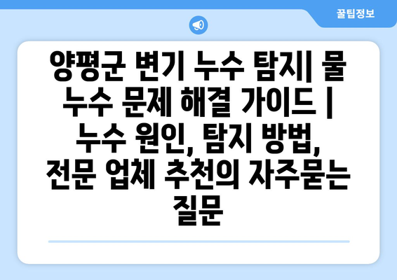 양평군 변기 누수 탐지| 물 누수 문제 해결 가이드 | 누수 원인, 탐지 방법, 전문 업체 추천