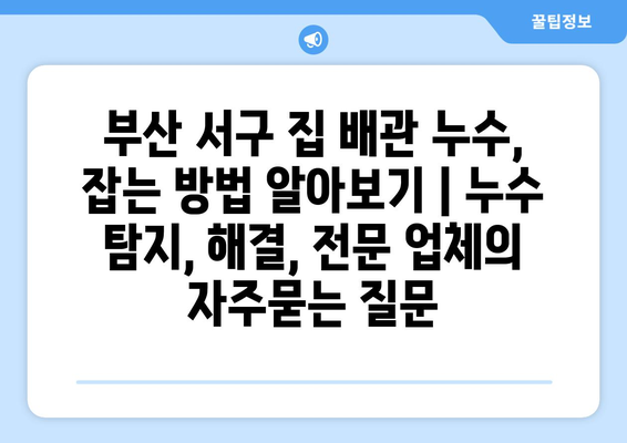 부산 서구 집 배관 누수, 잡는 방법 알아보기 | 누수 탐지, 해결, 전문 업체