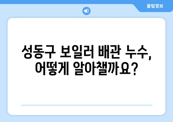 성동구 보일러 배관 누수, 빠르고 정확하게 해결하세요! | 누수 확인, 차단, 전문 업체 추천