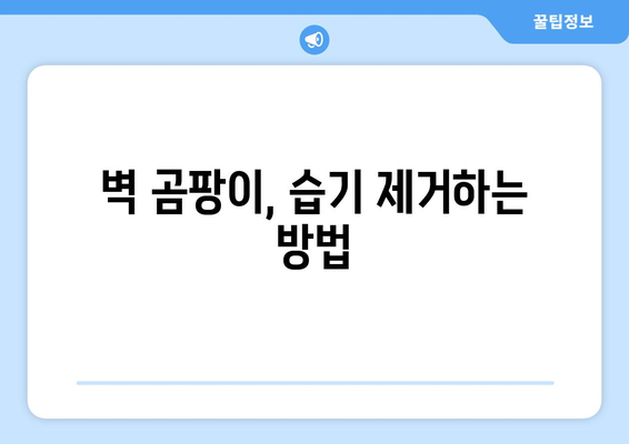 벽에 곰팡이와 습기? 벽 누수의 은밀한 신호 5가지 | 누수 징후, 곰팡이 제거, 습도 관리