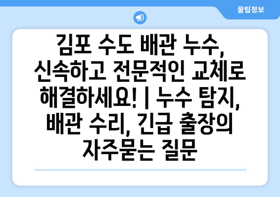 김포 수도 배관 누수, 신속하고 전문적인 교체로 해결하세요! | 누수 탐지, 배관 수리, 긴급 출장