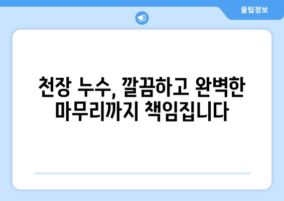 인천 아랫집 천장 누수 해결, 믿을 수 있는 업체 찾기 | 누수 전문, 빠른 출동, 합리적인 비용