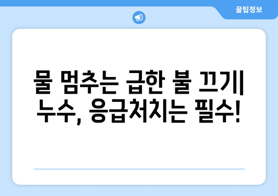 집에서 누수 발생 시, 당황하지 말고! 즉각적인 대처 방법 5가지 | 누수, 물샘, 응급처치, 수리