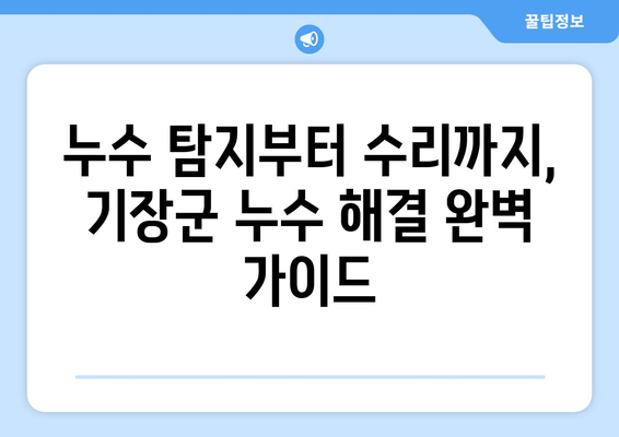 기장군 누수 해결, 믿을 수 있는 업체 찾기| 전문가 추천 & 비용 가이드 | 누수 탐지, 누수 수리, 배관 공사,  견적 상담