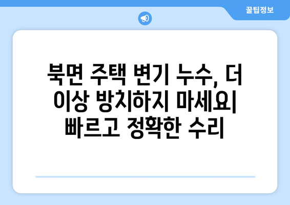 북면 주택 화장실 변기 수리| 문제 해결 가이드 & 전문 업체 추천 | 변기막힘, 물내림, 누수, 부품교체