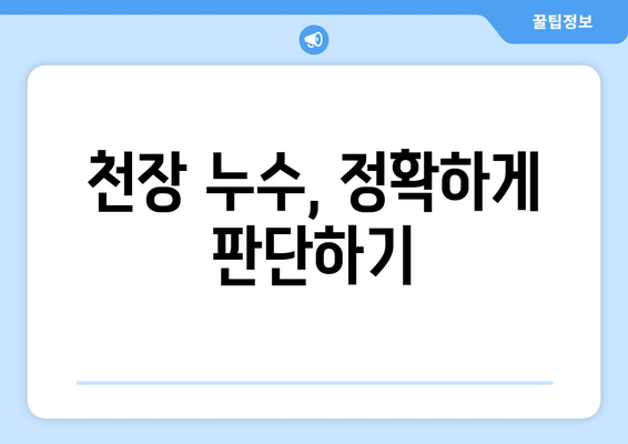 천장 누수, 원인부터 해결까지! 신속 대처 가이드 | 누수 판단, 원인 분석, 응급조치, 전문가 도움