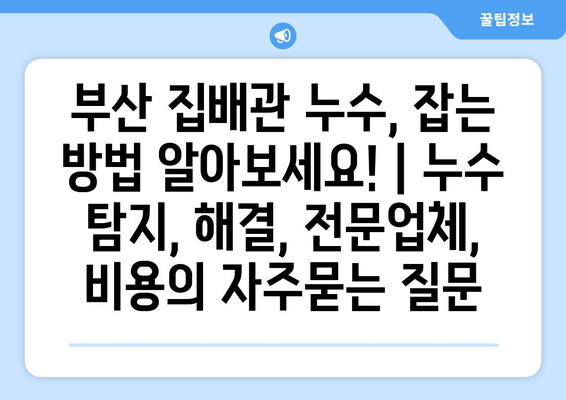 부산 집배관 누수, 잡는 방법 알아보세요! | 누수 탐지, 해결, 전문업체, 비용