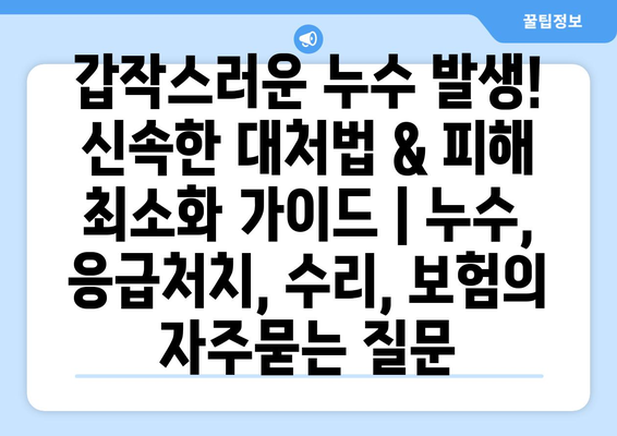 갑작스러운 누수 발생! 신속한 대처법 & 피해 최소화 가이드 | 누수, 응급처치, 수리, 보험