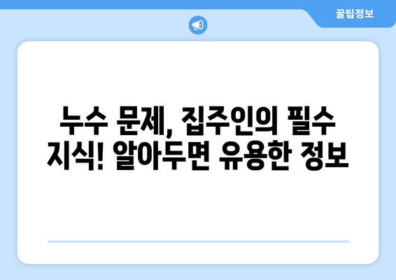 지속적인 누수, 이제 그만! 집주인을 위한 비용 효율적인 해결책 가이드 | 누수 원인, 해결 방법, 비용 절감 팁