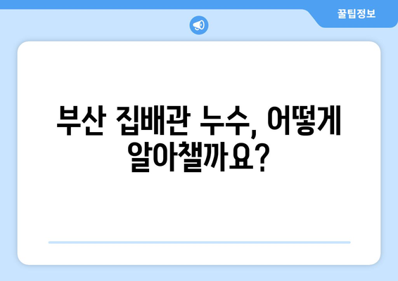 부산 집배관 누수 잡는 완벽 가이드 | 누수탐지, 원인 분석, 해결방법, 전문업체 추천