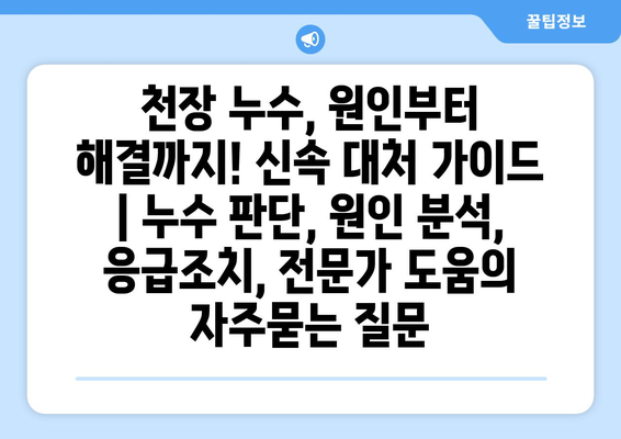 천장 누수, 원인부터 해결까지! 신속 대처 가이드 | 누수 판단, 원인 분석, 응급조치, 전문가 도움