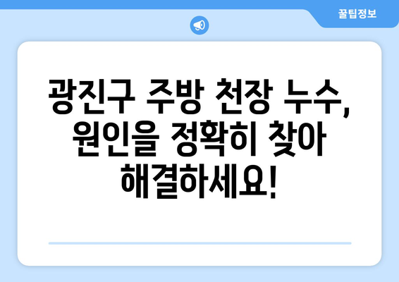 광진구 주방 천장 미세 누수 위치 파악| 원인 분석부터 해결 솔루션까지 | 누수탐지, 수리, 전문업체, 비용, 주의사항