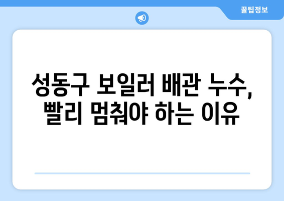 성동구 보일러 배관 누수, 빠르고 정확하게 해결하세요! | 누수 확인, 차단, 전문 업체 추천