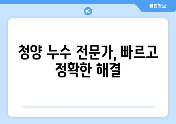 청양 누수 걱정 끝! 누수 전문 업체와 안심 복구까지 | 청양 누수탐지, 누수공사, 믿을 수 있는 업체 추천