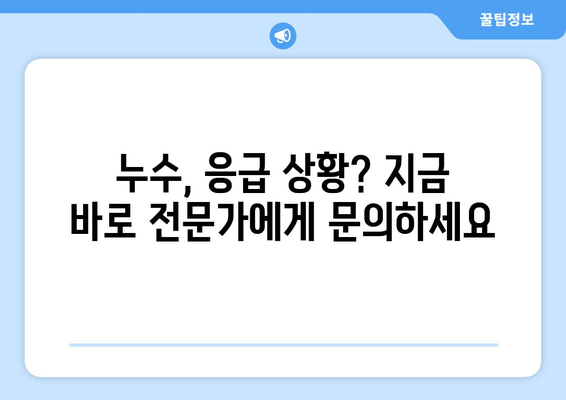 누수 응급 상황, 신뢰할 수 있는 전문 업체와 함께 해결하세요! | 누수, 응급, 전문 업체, 긴급 수리, 24시간 출동