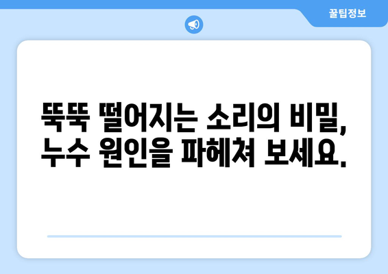 누수의 싸이렌| 지속적인 누수가 전하는 경고 신호 | 누수 징후, 원인 파악, 해결 방법, 누수 전문가