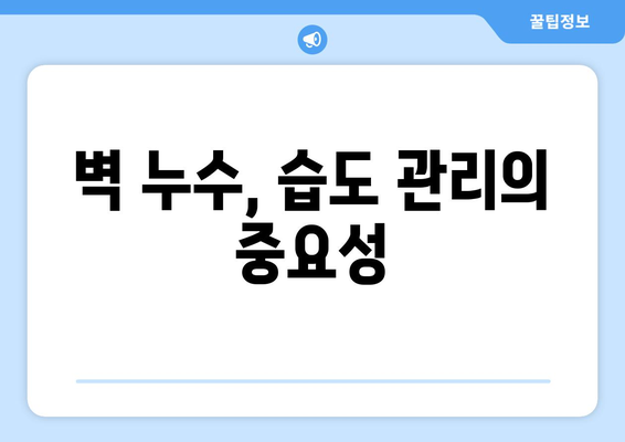 벽에 곰팡이와 습기? 벽 누수의 은밀한 신호 5가지 | 누수 징후, 곰팡이 제거, 습도 관리