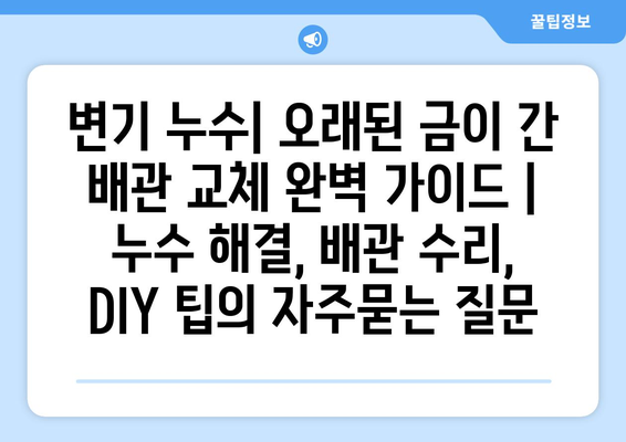 변기 누수| 오래된 금이 간 배관 교체 완벽 가이드 | 누수 해결, 배관 수리, DIY 팁