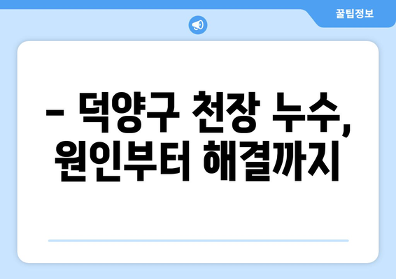 덕양구 천장 도배지 누수, 이렇게 해결하세요! | 누수 원인,  조치 방법, 전문 업체 추천