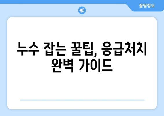 주택 누수 피해, 하마 내 손으로 잡아보세요! | 누수 원인 파악부터 간단한 응급처치까지