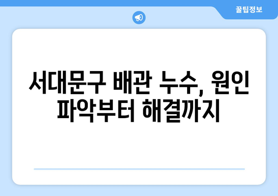 서대문구 변기 막힘 & 배관 누수 해결 가이드| 원인 분석부터 완벽 해결까지 | 변기 막힘, 배관 누수, 서대문구 배관, 긴급 출장, 배관 수리