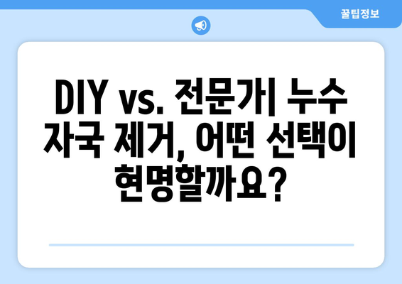 누수 자국 제거, DIY vs. 전문가| 수리비 절감 가이드 | 누수, 수리, DIY, 전문가, 비용, 팁