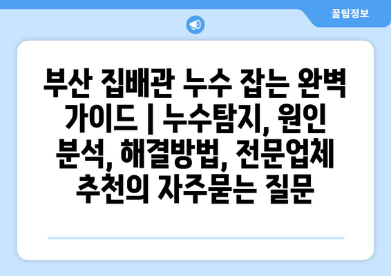 부산 집배관 누수 잡는 완벽 가이드 | 누수탐지, 원인 분석, 해결방법, 전문업체 추천