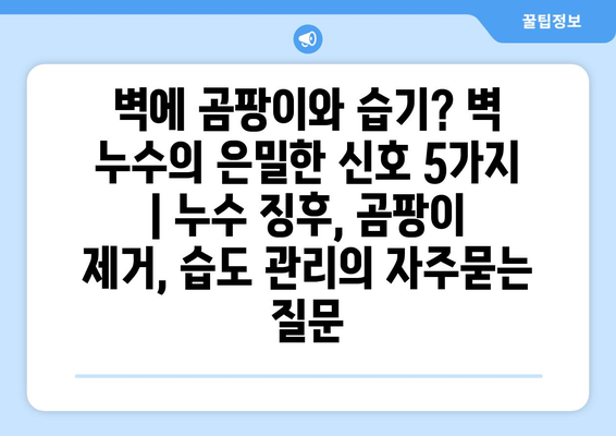 벽에 곰팡이와 습기? 벽 누수의 은밀한 신호 5가지 | 누수 징후, 곰팡이 제거, 습도 관리