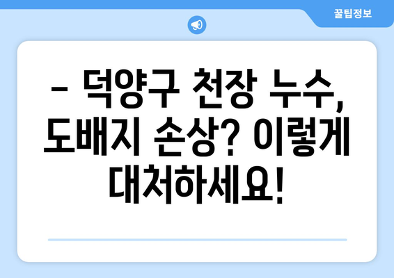 덕양구 천장 도배지 누수, 이렇게 해결하세요! | 누수 원인,  조치 방법, 전문 업체 추천