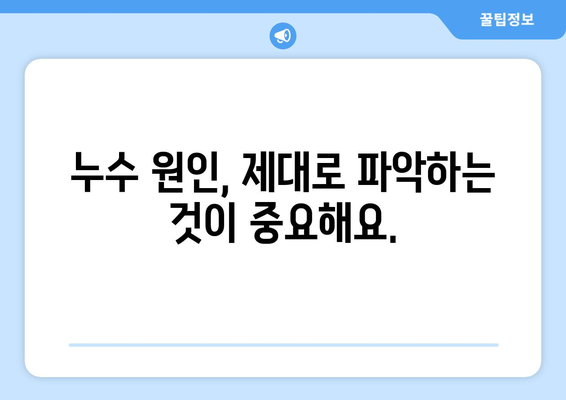 집안 누수, 당황하지 마세요! 발생 시 대처 방법과 해결책 | 누수 원인, 누수 탐지, 보험, 수리 비용