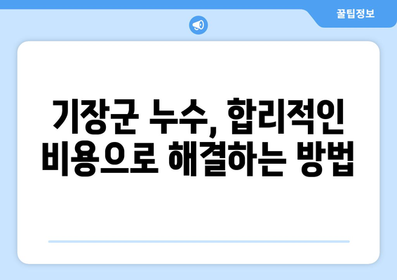 기장군 누수 해결, 믿을 수 있는 업체 찾기| 전문가 추천 & 비용 가이드 | 누수 탐지, 누수 수리, 배관 공사,  견적 상담