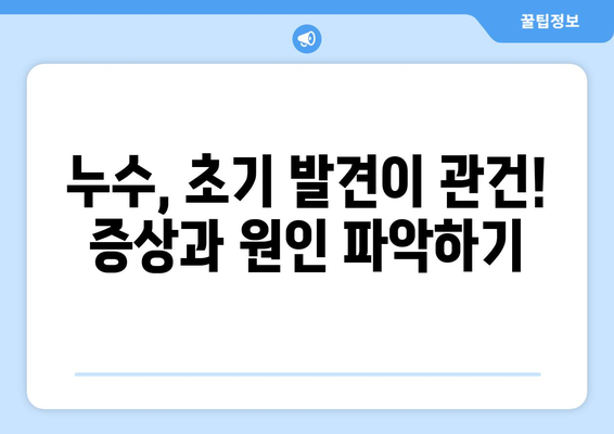 누수 발생 시, 신속한 대처가 중요합니다! | 가정 및 기업 누수 대응 가이드