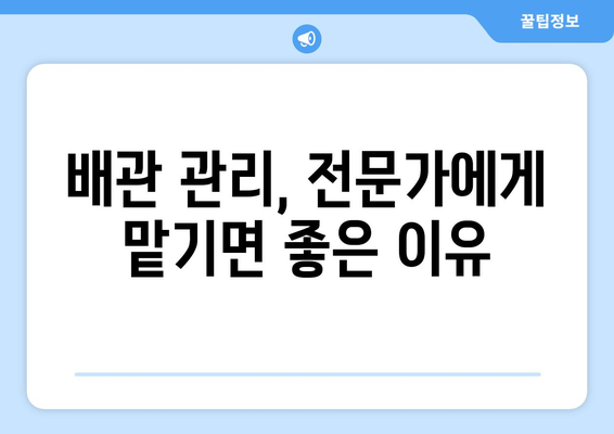 배관 관리 & 공사 전문업체, 어떻게 선택해야 할까요? | 배관 관리, 공사, 전문업체, 비교, 추천, 가이드