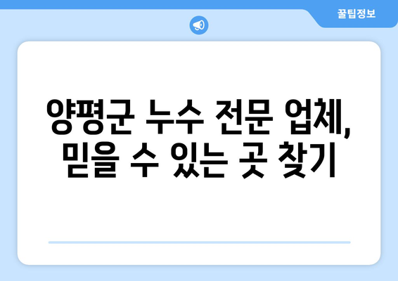 양평군 변기 누수 탐지| 물 누수 문제 해결 가이드 | 누수 원인, 탐지 방법, 전문 업체 추천