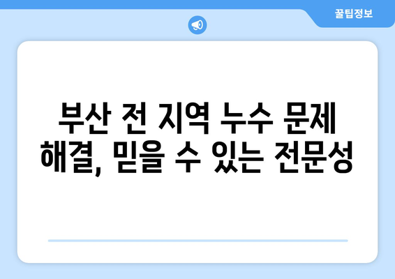 부산 집배관 누수 응급 수리| 빠르고 완벽한 해결책 | 누수탐지, 배관공사, 24시간 출동