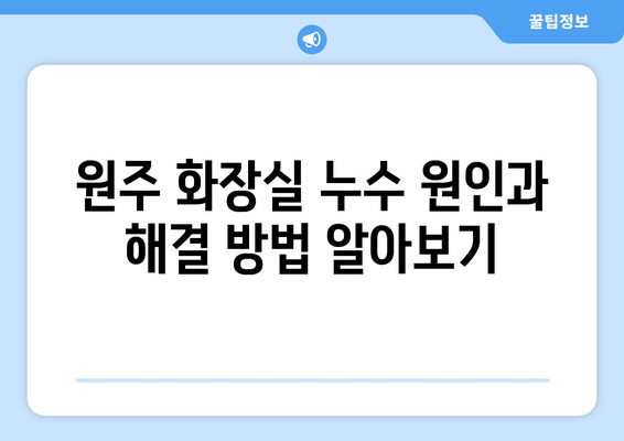 원주 화장실 천장 누수, 욕조, 변기 배관 문제 해결| 수리/교체/설비 전문가 안내 | 누수 원인, 비용, 전문 업체 정보