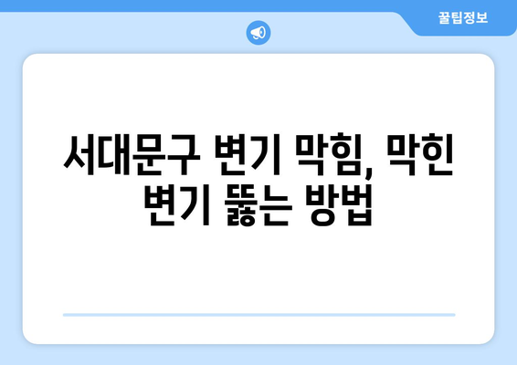 서대문구 변기 막힘 & 배관 누수 해결 가이드| 원인 분석부터 완벽 해결까지 | 변기 막힘, 배관 누수, 서대문구 배관, 긴급 출장, 배관 수리