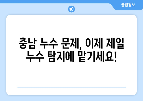 충남전역 누수 걱정 끝! 안심 시공, 제일 누수 탐지가 책임집니다 | 누수탐지, 배관공사, 누수 해결