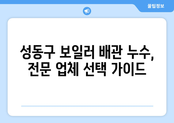 성동구 보일러 배관 누수, 빠르고 정확하게 해결하세요! | 누수 확인, 차단, 전문 업체 추천