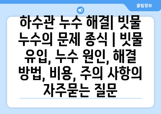 하수관 누수 해결| 빗물 누수의 문제 종식 | 빗물 유입, 누수 원인, 해결 방법, 비용, 주의 사항