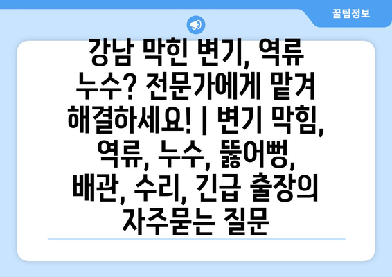 강남 막힌 변기, 역류 누수? 전문가에게 맡겨 해결하세요! | 변기 막힘, 역류, 누수, 뚫어뻥, 배관, 수리, 긴급 출장