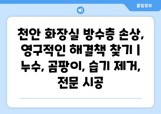 천안 화장실 방수층 손상, 영구적인 해결책 찾기 | 누수, 곰팡이, 습기 제거, 전문 시공