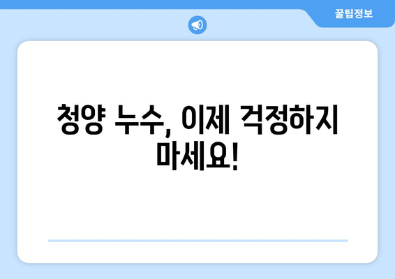 청양 누수 걱정 끝! 누수 전문 업체와 안심 복구까지 | 청양 누수탐지, 누수공사, 믿을 수 있는 업체 추천