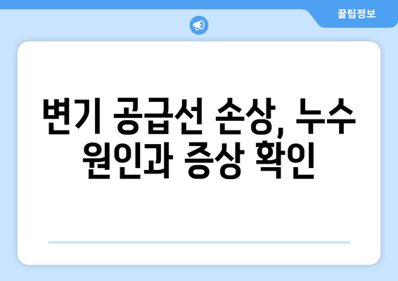 변기 공급선 손상으로 인한 변기 누수, 이렇게 해결하세요! | 변기 누수, 수리 방법, DIY, 공급선 교체