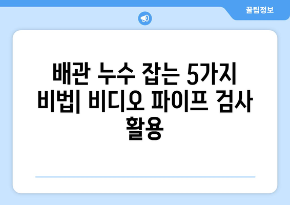 비디오 파이프 검사| 배수관 누수 정확하게 찾는 5가지 방법 | 배관 누수, 하수관 검사, 비디오 파이프 라인