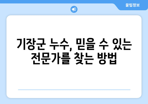 기장군 누수 해결, 믿을 수 있는 업체 찾기| 전문가 추천 & 비용 가이드 | 누수 탐지, 누수 수리, 배관 공사,  견적 상담