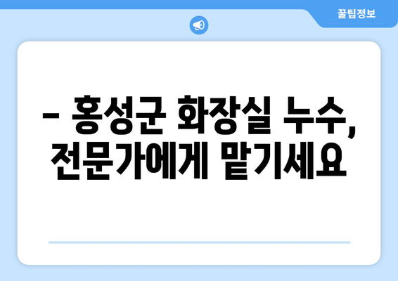 대구 달서구 변기 막힘과 홍성군 화장실 누수 해결 가이드 | 변기 막힘, 화장실 누수, 배관 문제 해결 팁